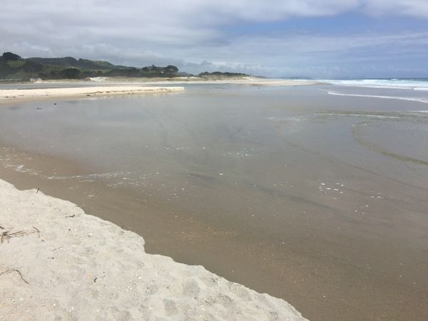 Pakira Beach, New Zealand