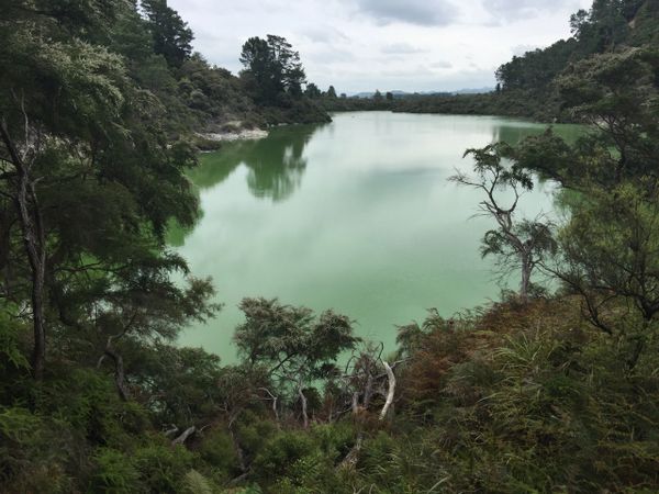 Waiotapu Thermal Springs Wonderland, Rotorua, New Zealand