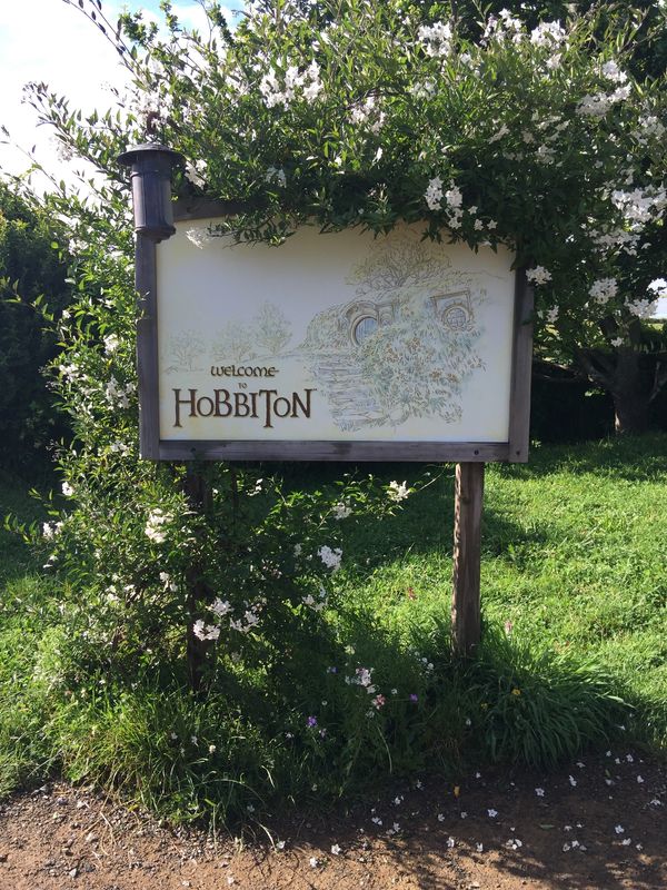 Hobbiton Movie Set, Matamata, New Zealand