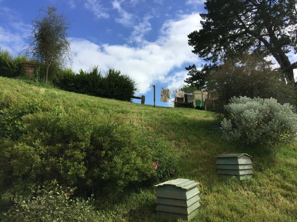 Hobbiton Movie Set, Matamata, New Zealand