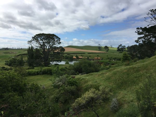 Hobbiton Movie Set, Matamata, New Zealand