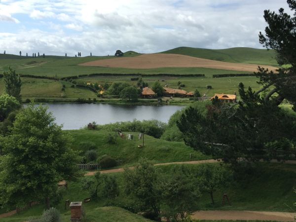 Hobbiton Movie Set, Matamata, New Zealand