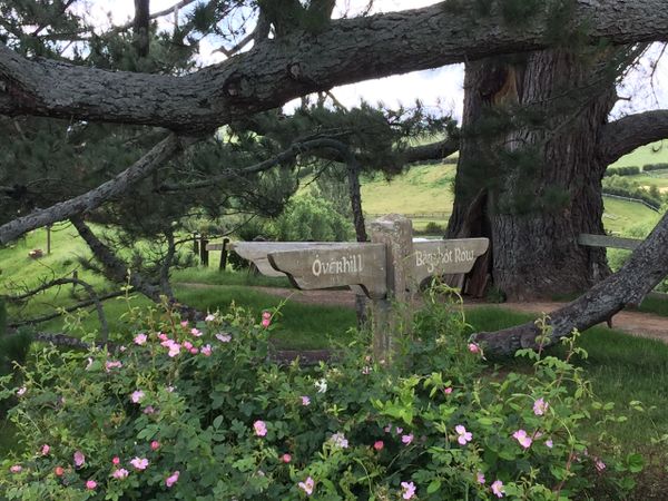 Hobbiton Movie Set, Matamata, New Zealand