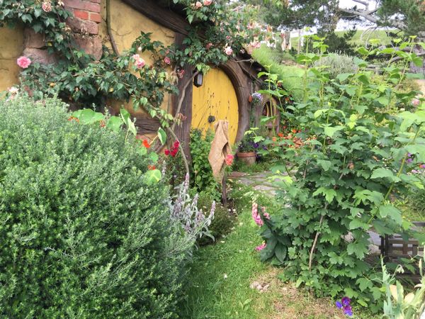 Hobbiton Movie Set, Matamata, New Zealand