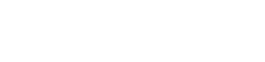 GV The Art of Bodybuilding