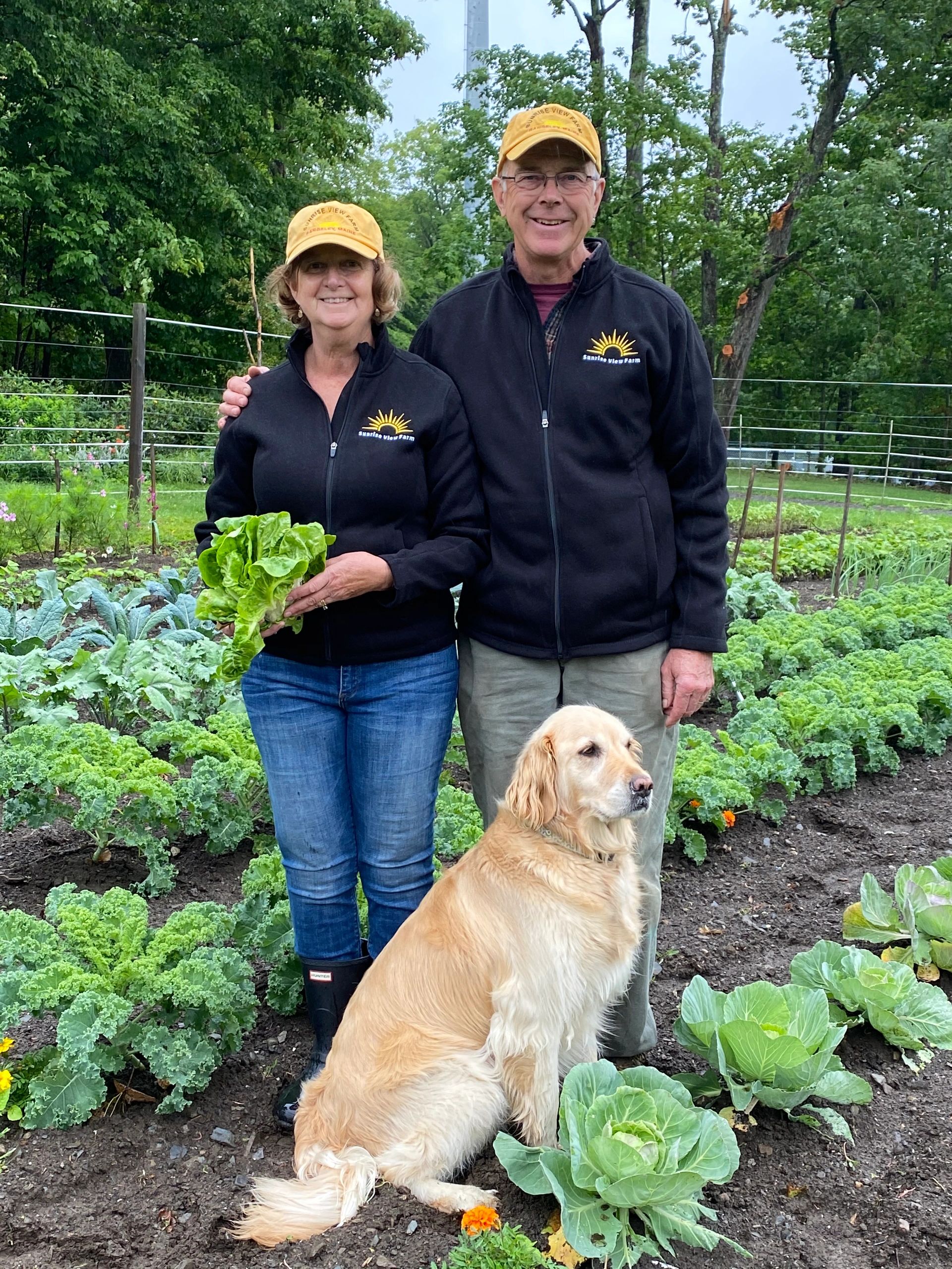 Golden Retriever — Rangeley Region Sports Shop