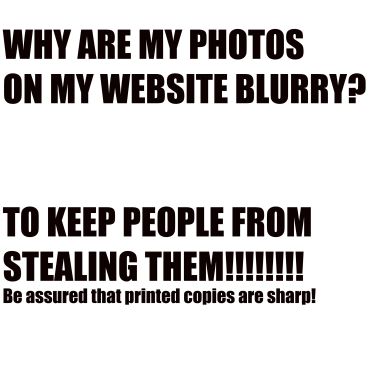 Message about blurry photos on websites.