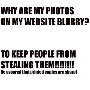 Text image explaining blurry photos on websites to prevent stealing.