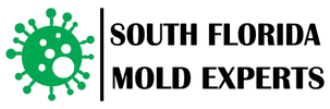 South Florida Mold Experts