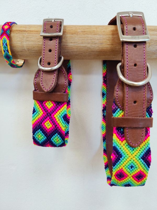 Colorful pet collars in various sizes