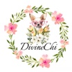 DivineChi Store
