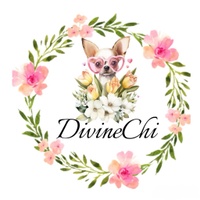 DivineChi Store