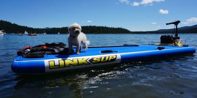 Sups and Pups, Stand Up Paddle Board with Dogs.  Electric motor SUP