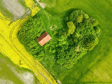 Bee Fly Drone Services