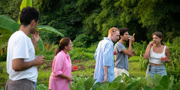 five people in a lush green garden with fresh herbs pressed to their faces 