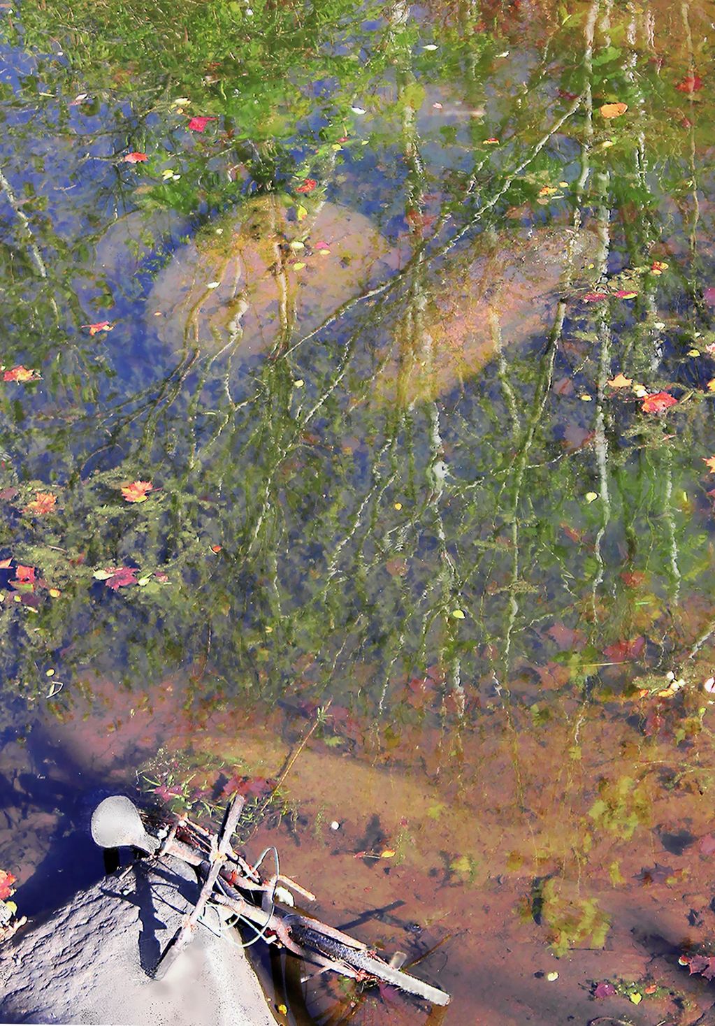 Photography of James River bank, with reflections and colors evoking a dreamy quality