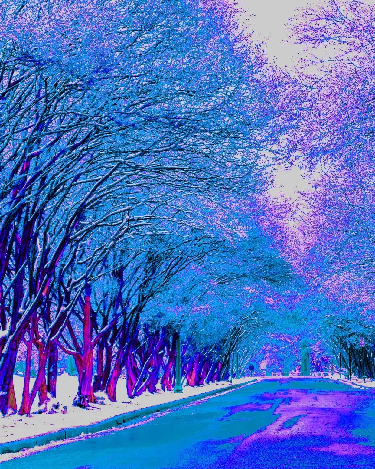A road lined with snow-covered trees in vibrant blue and purple tones.