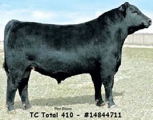TC Total 410