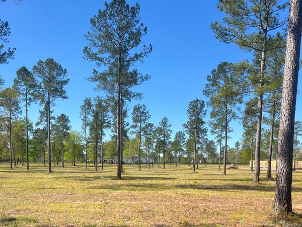 Absolute Acre Management