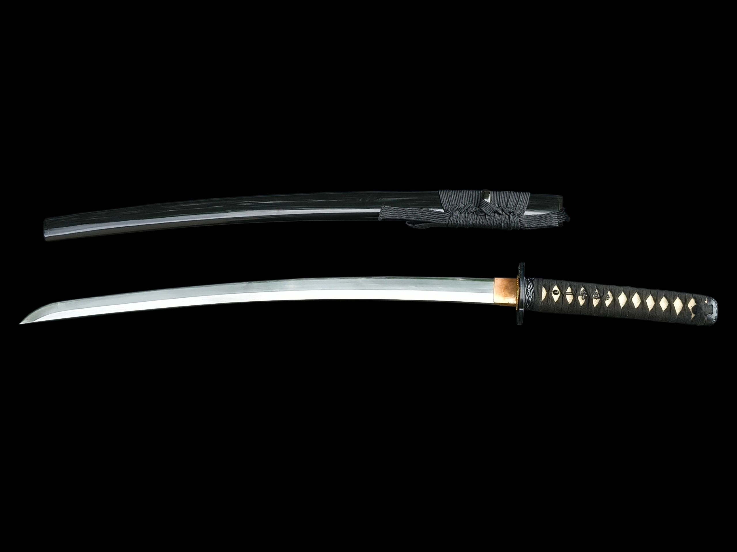 Budokan Wakizashi