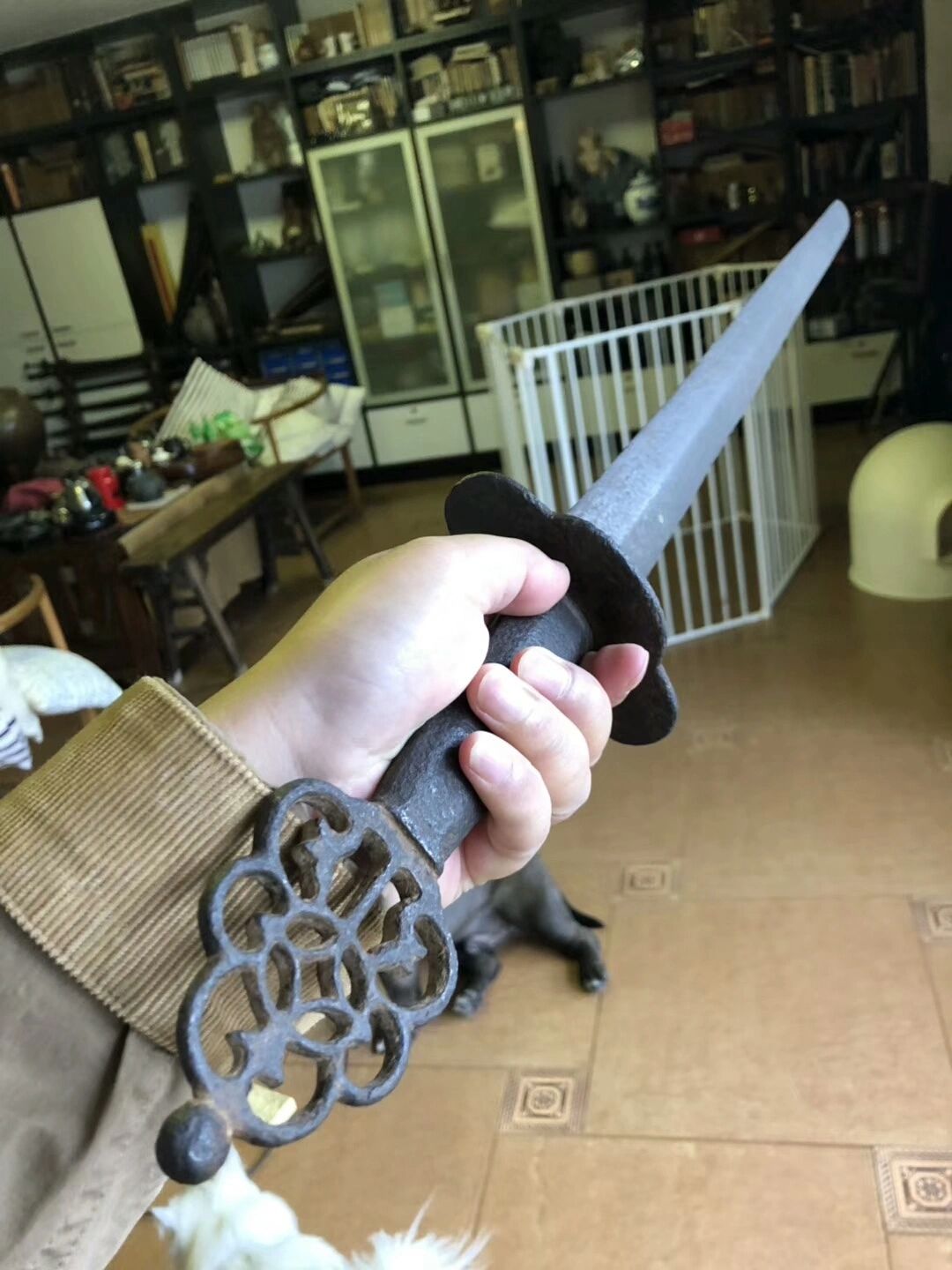 Disc Guard Cutting Jian