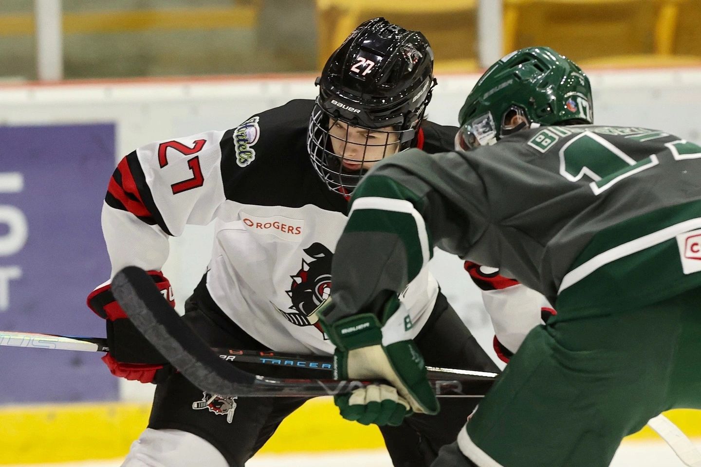 Two ice hockey players facing off during a game.