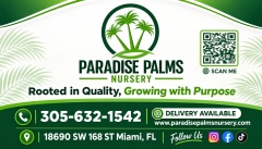 Paradise Palms Nursery
305-951-1764 or 305-632-1542 
