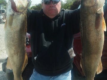 Big Lake Erie Walleye