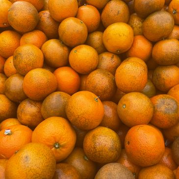 Noble Juicy Crunch® Tangerines, 2 lb - Harris Teeter