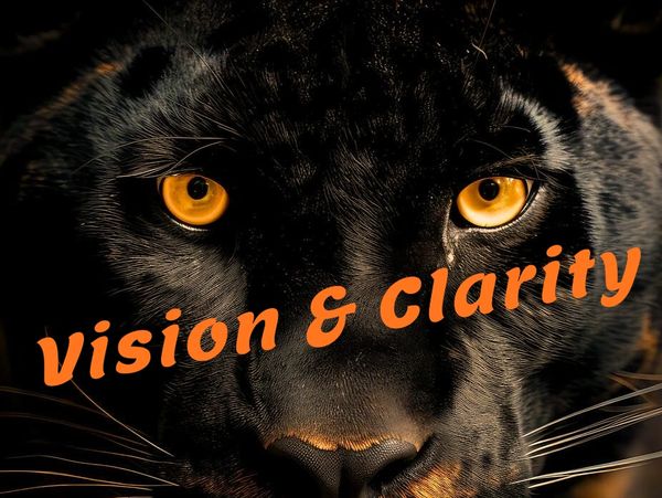 Beautiful black panther looking straight with words Vision & Clarity displayed.