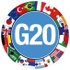 G20 Coin