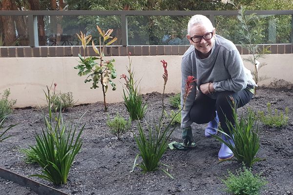 Testimonial - happy client with new native courtyard - on day of planting