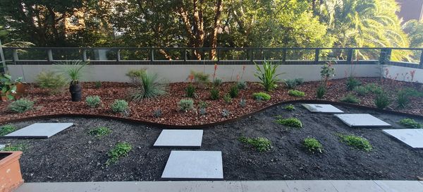 Roof top garden and courtyard area - under construction