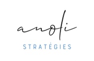 Anoli Stratégies