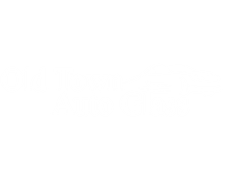 Old Town Auto Glass
