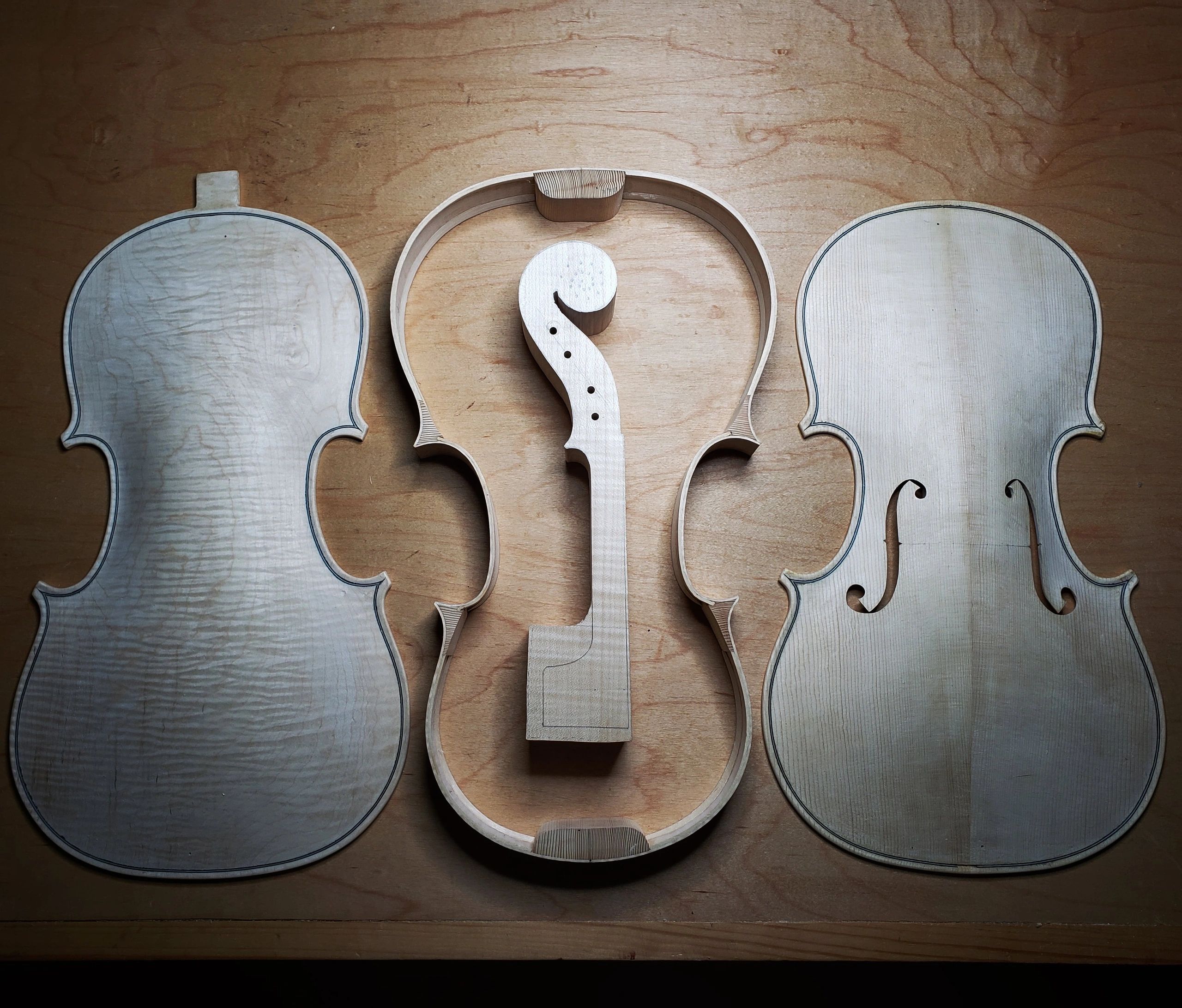 Luthier Instrument About the Luthier