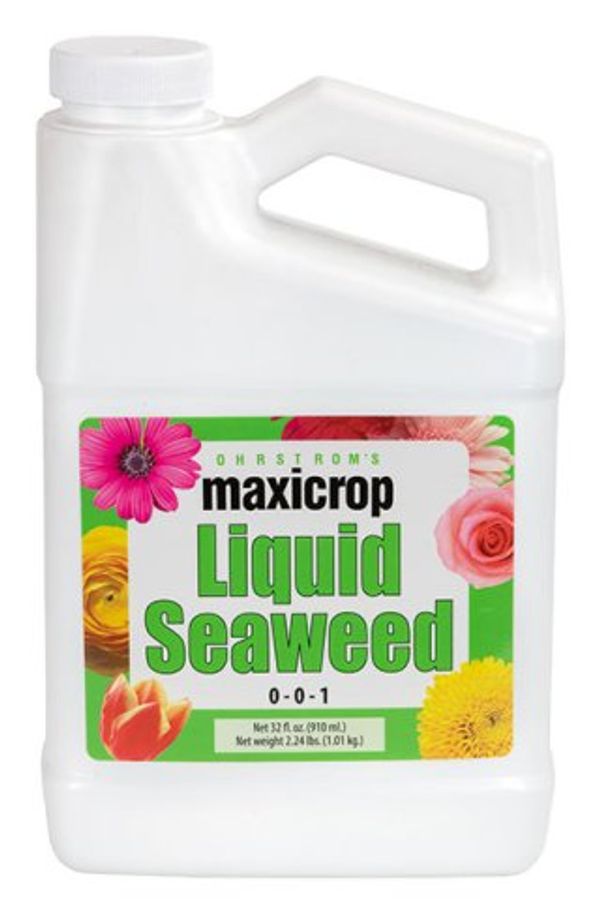 Pure seaweed extract produced from the finest Ascophyllum nodosum grown in the world.