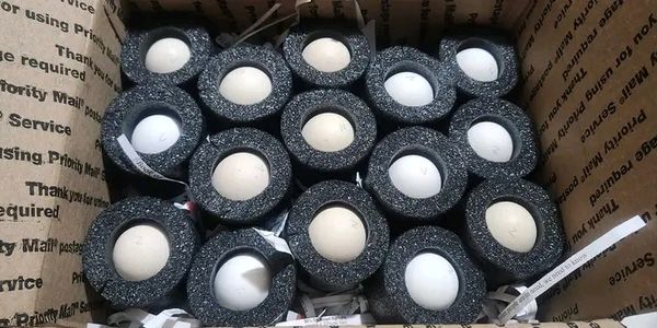 Shipping fertile hatching eggs with 90-95% hatch rate guaranteed 