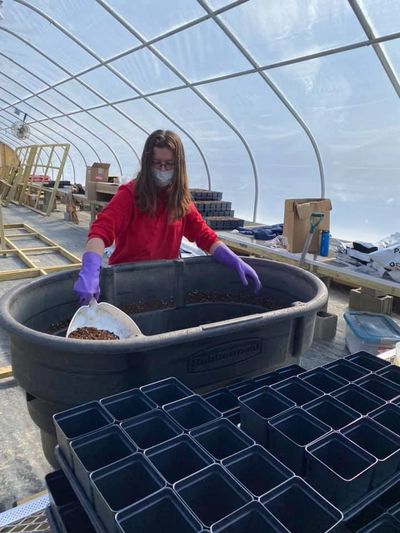 Katelyn working in the greenhouse