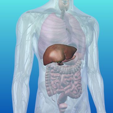 why does lipo c burn Avoiding Trendy Lipo: Why Elegant Lipo Is Better by Dr. John Burns – Dr  John Burns main image 0
