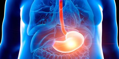 Lose Menopause Weight With Weight Loss Shots, Same Active Ingredients as Wegovy & Monjourno