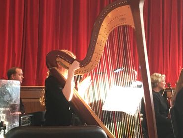 Orchestra Harpist