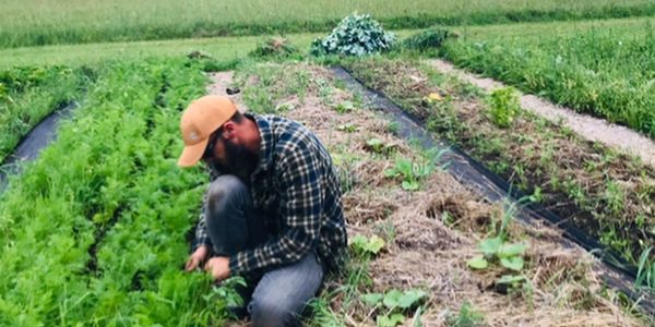 Pesticide Free, Chemical Free, Natural Farming Practices, Silage tarp, weed free