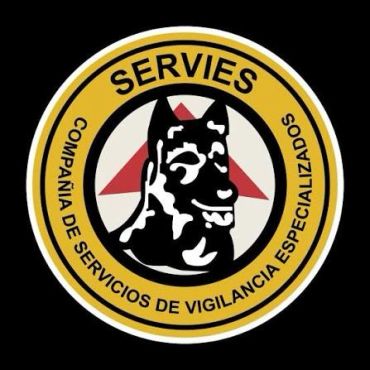 Logo of SERVIES, a specialized security services company.