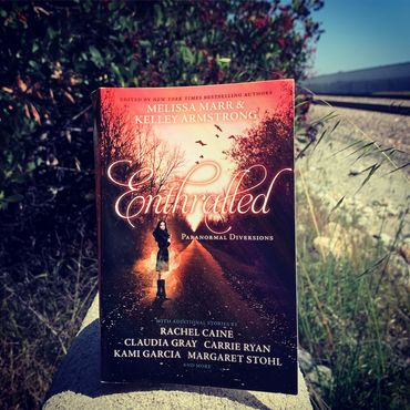 Enthralled: Paranormal Diversions,
anthology of fourteen teen paranormal stories 