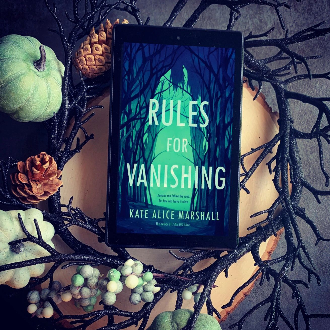 Book Review Rules for Vanishing by Kate Alice Marshall