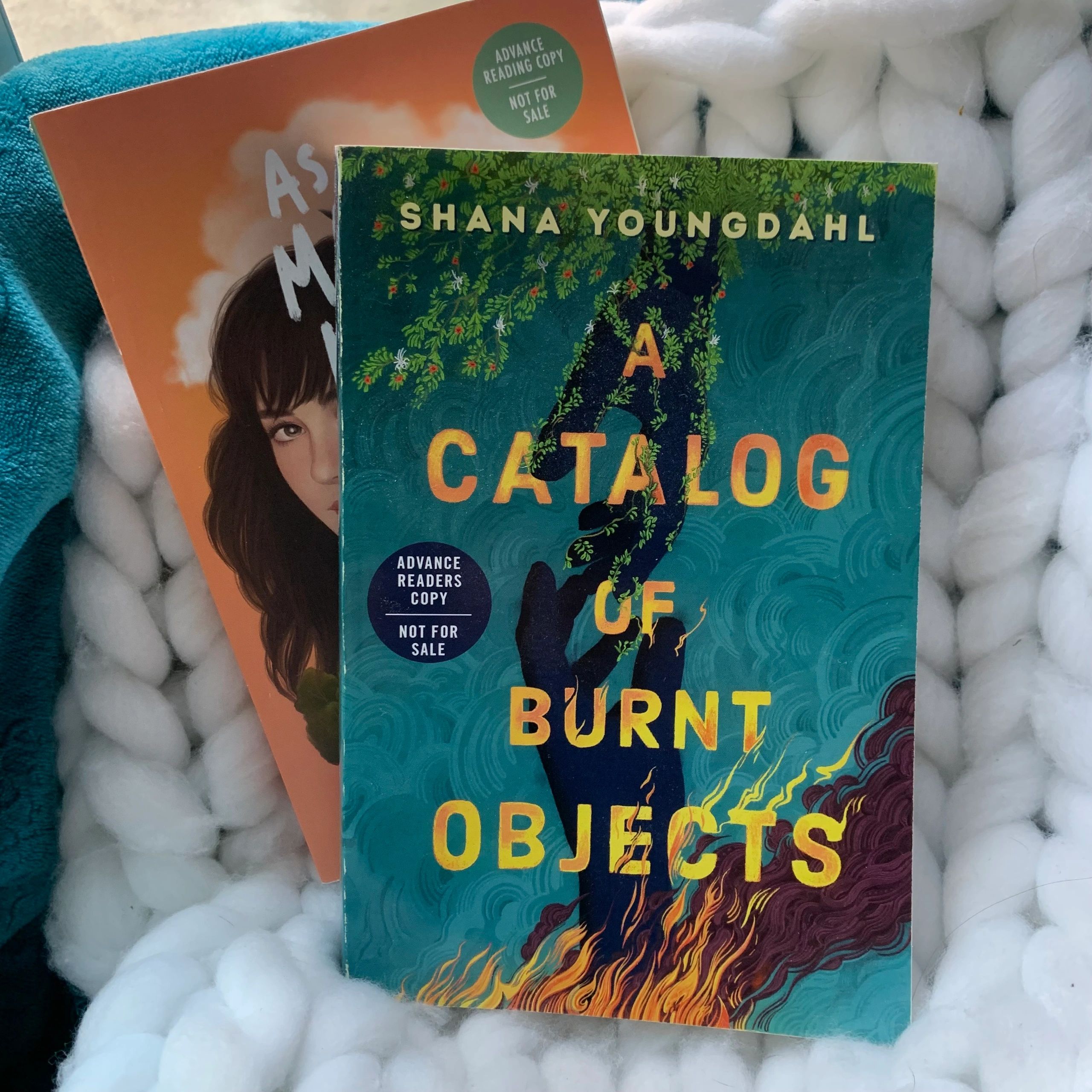 Book Review A Catalog of Burnt Objects by Shana Youngdahl