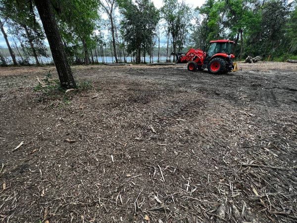 Lake front lot cleared with Fecon forestry mulcher . Kubota loader loaded out big timber for the mil