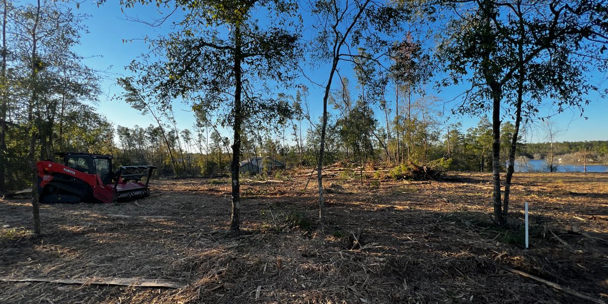 Lakefront property in Jackson county being cleared for new home construction 