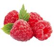 Raspberry